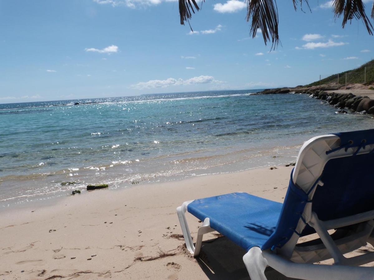 Studio Vue Mer Piscine Plage Kaz Punch Manganao Chez Julie Saint-Francois  Exterior photo