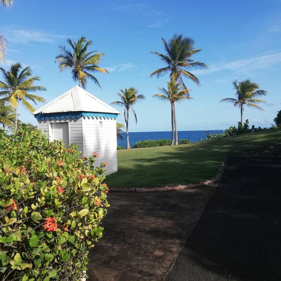 Studio Vue Mer Piscine Plage Kaz Punch Manganao Chez Julie Saint-Francois  Exterior photo