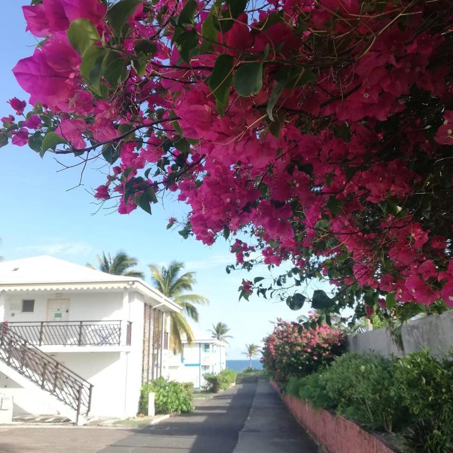 Studio Vue Mer Piscine Plage Kaz Punch Manganao Chez Julie Saint-Francois  Exterior photo