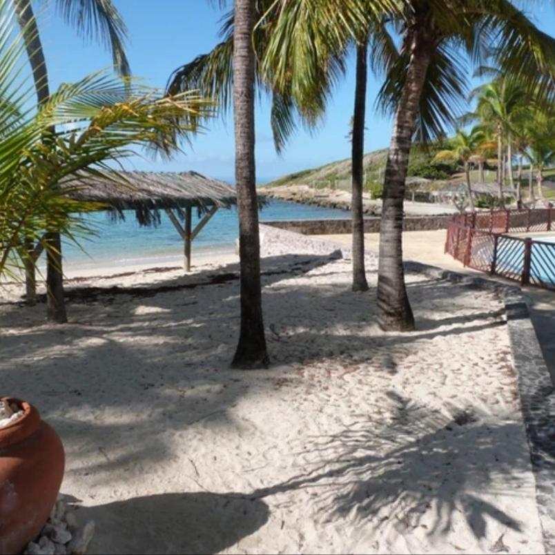 Studio Vue Mer Piscine Plage Kaz Punch Manganao Chez Julie Saint-Francois  Exterior photo
